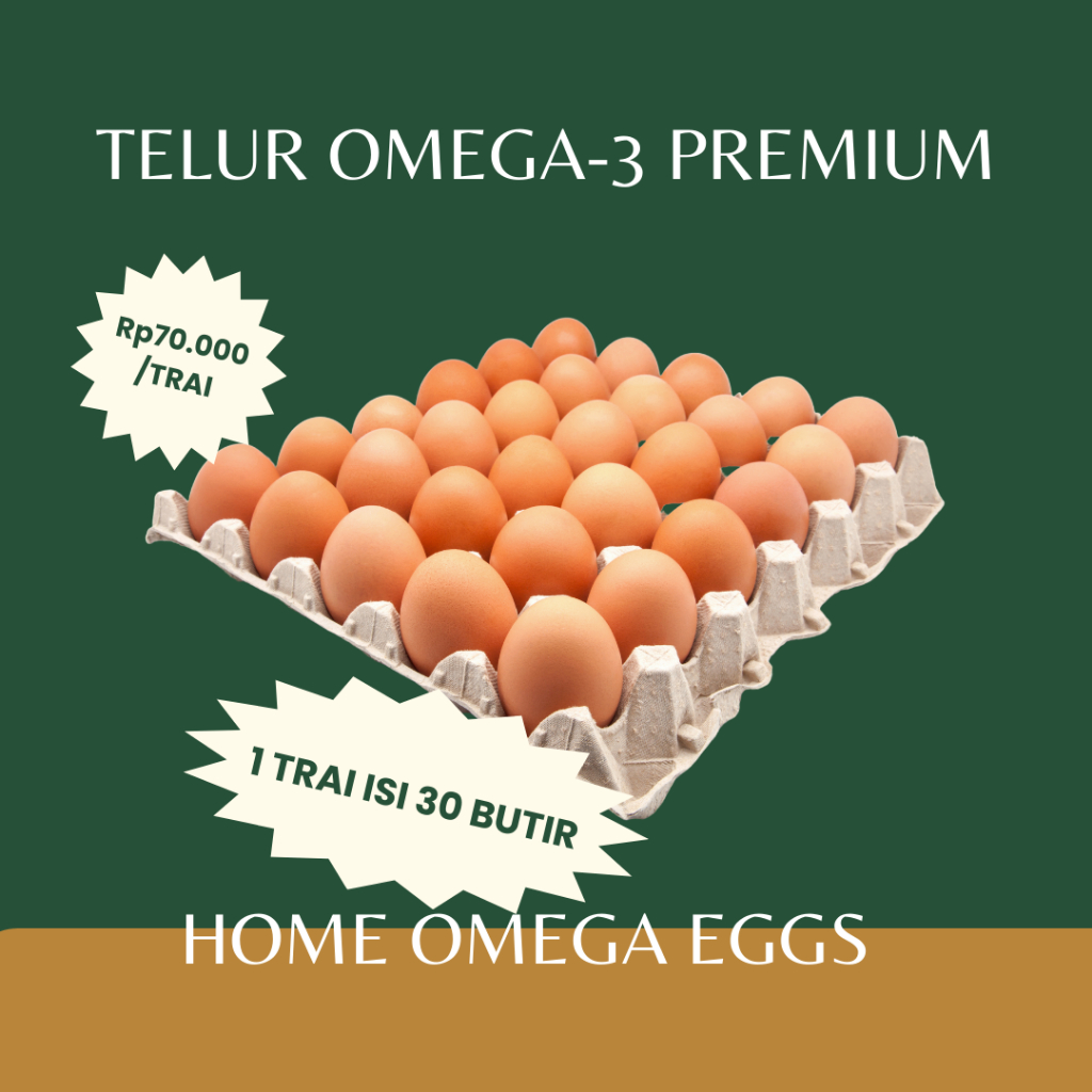 

Home Omega Eggs Telur Ayam Red Yolk (Omega-3) Isi 30 Pcs