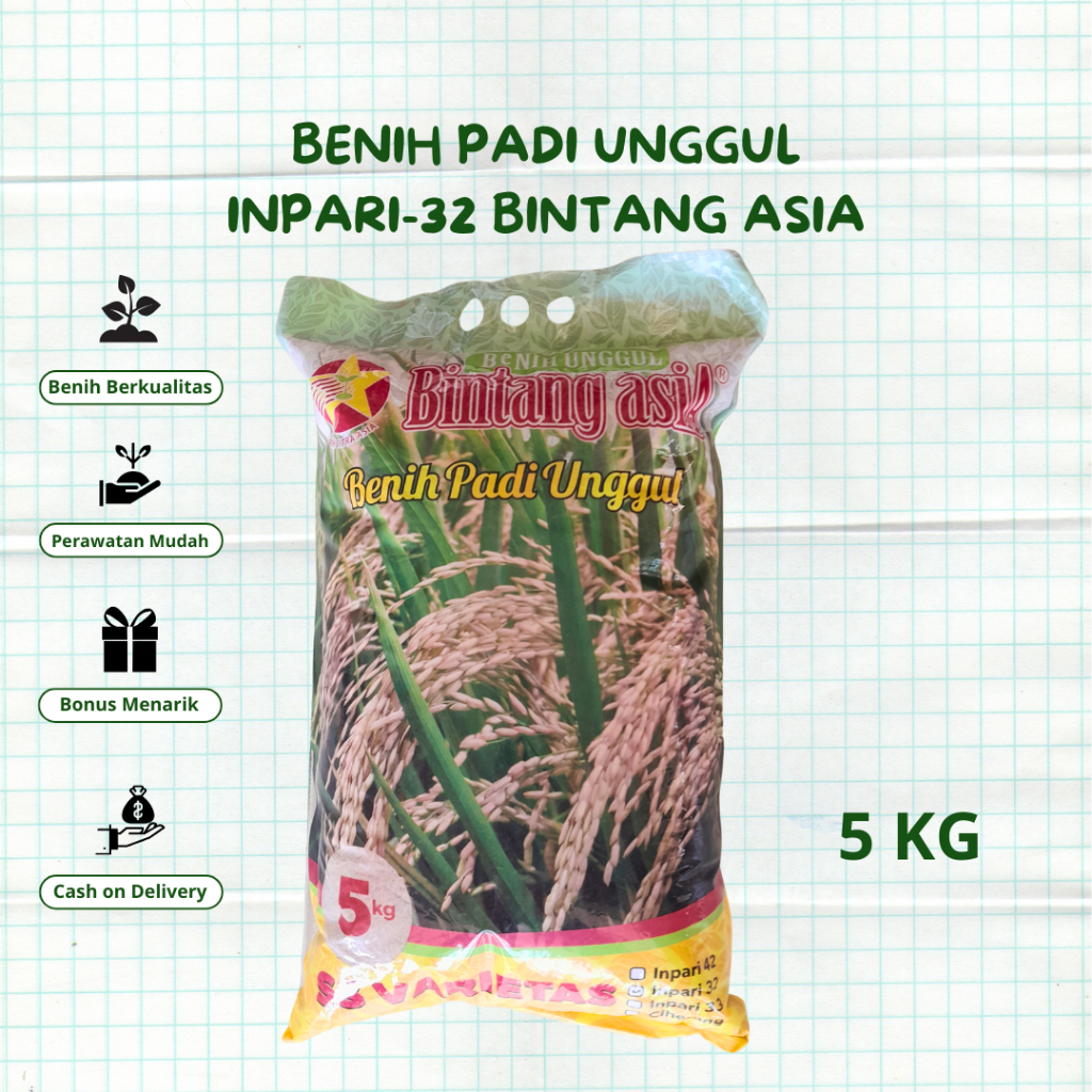 BENIH BIBIT PADI SAWAH UNGGUL INPARI 32 BINTANG ASIA - 5KG