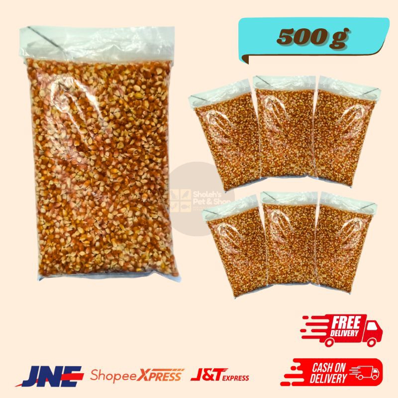 jagung kristal pakan burung dara/merpati