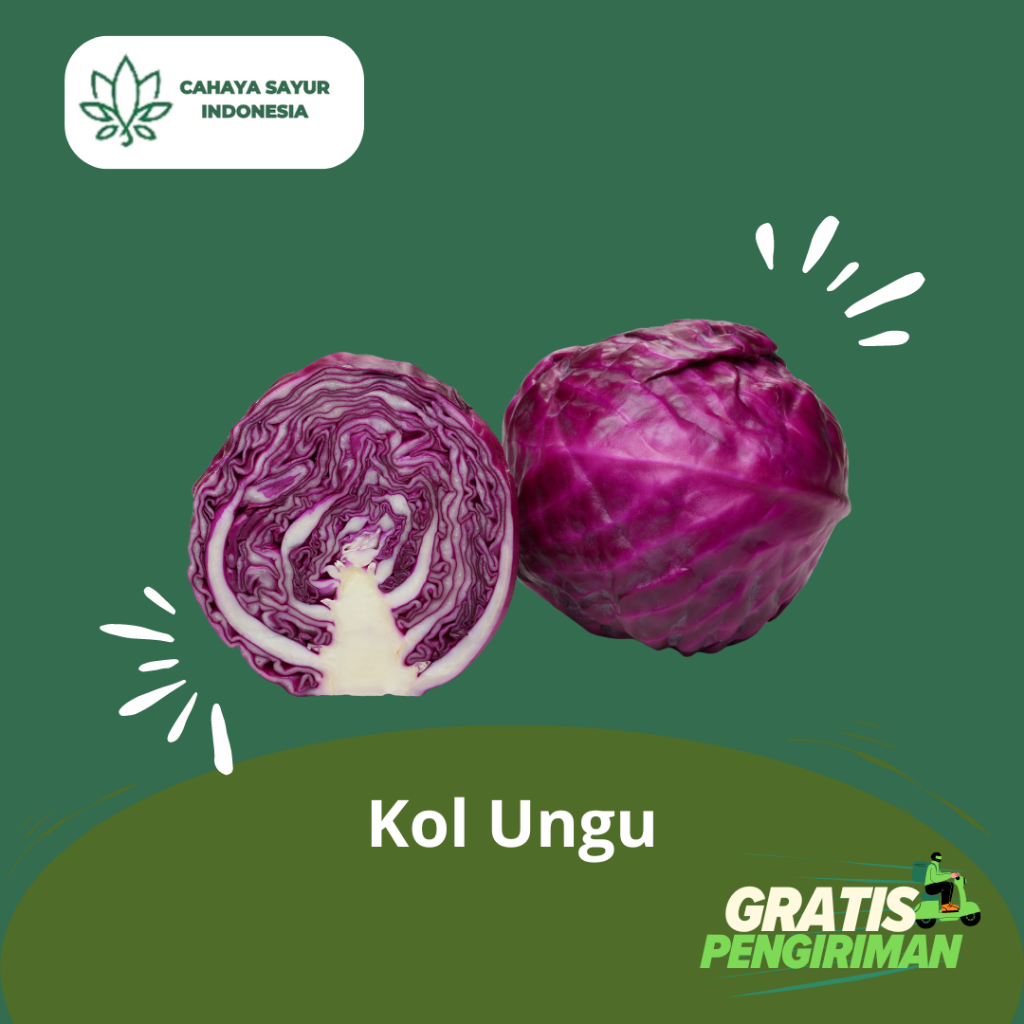 

Kol Ungu Segar / Sayur Kol Ungu 1Kg + Gratis Ongkir