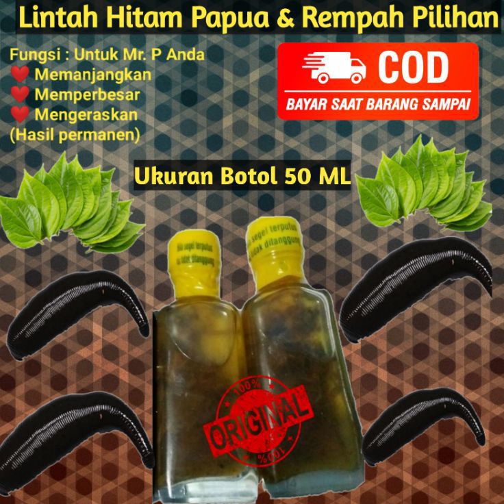 BERKAH Minyak Lintah Papua Asli Minyak Lintah Papua Asli 1 Original Minyak Lintah Hitam Papua Asli 1