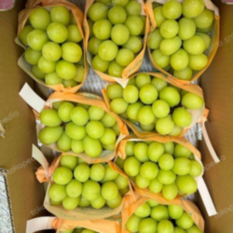 

Anggur Hijau Super 1 Kg