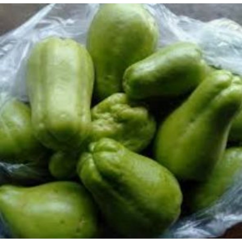 

bibit labu siam babi/ jipang 1 biji