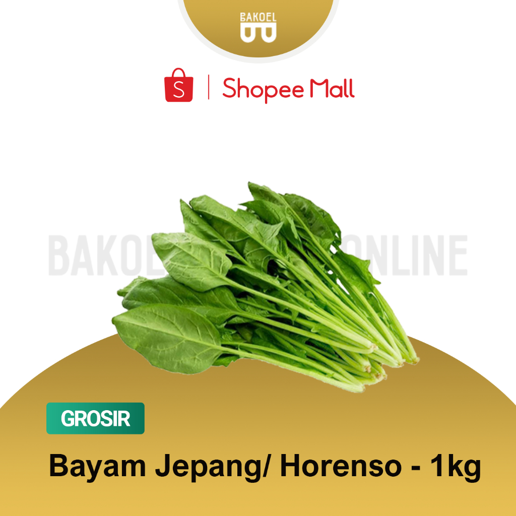 

Bayam Jepang / Horenso - Grosir 1 Kg