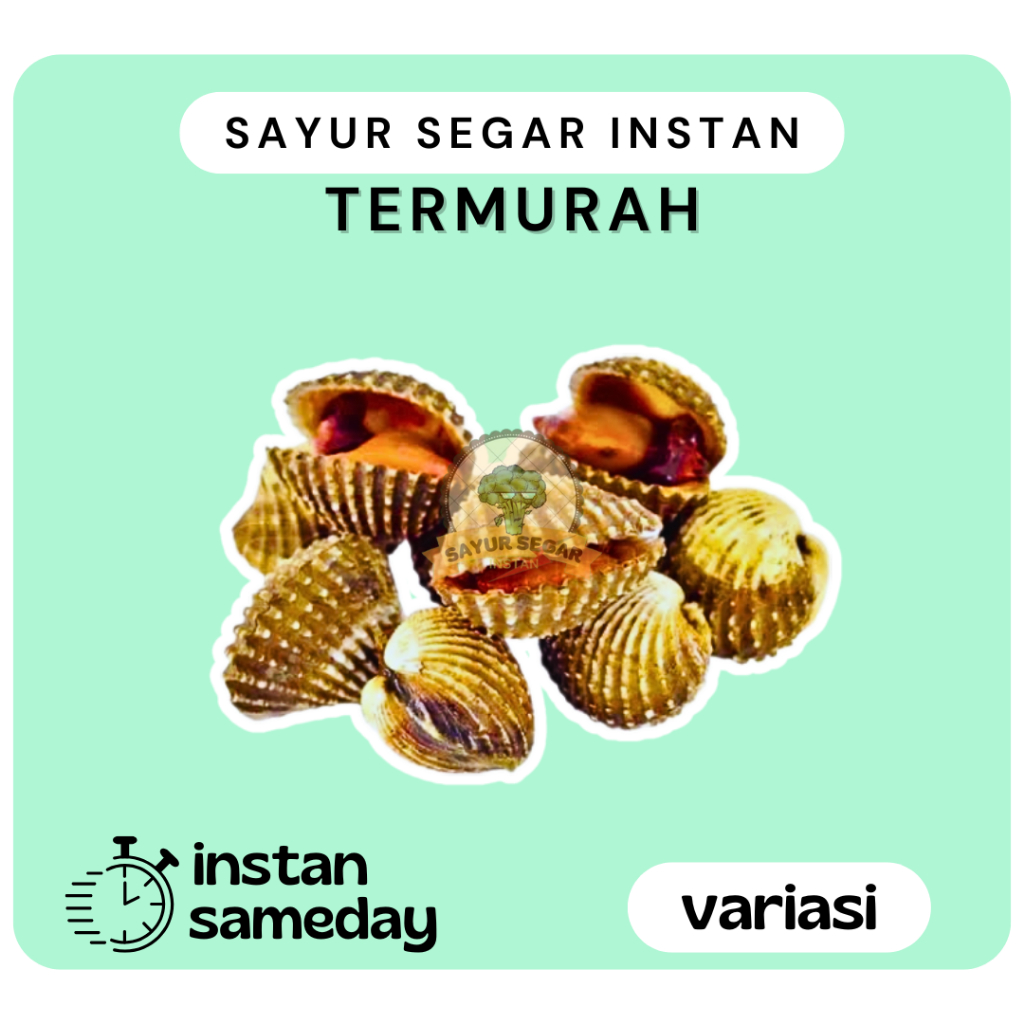 

Kerang Dara Segar