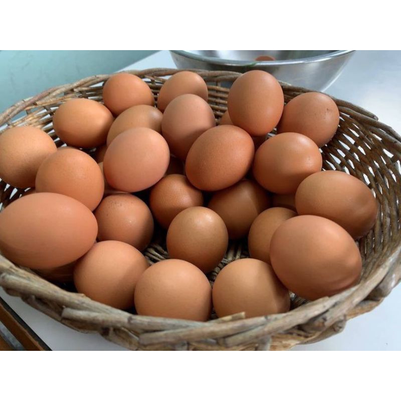 

Telur organik pilihan 1 Tray | Berkualitas, Sehat, dan Lezat
