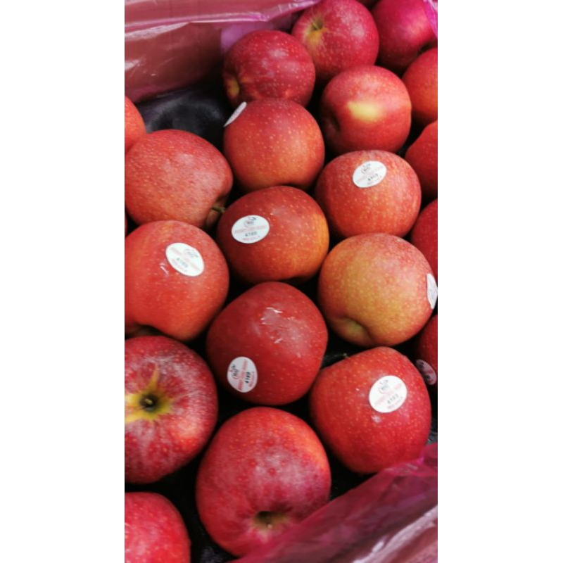 

Buah Apel Merah Washington manis