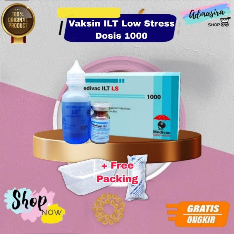 Vaksin ILT Low Stress Dosis 500 dan 1000 untuk Gangguan Pernafasan akut Unggas Ayam Bebek