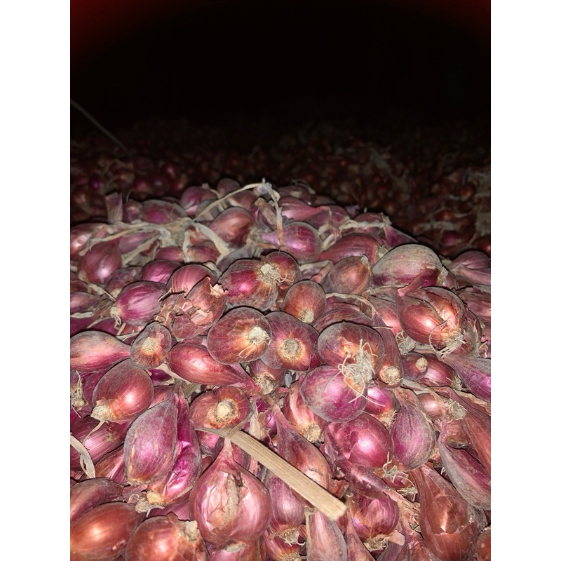

Bawang Merah Murah kualitas terjamin,Bawang Merah Superrr