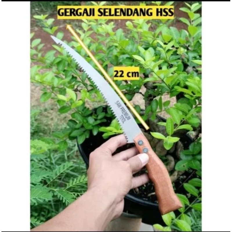 GERGAJI SLENDANG HSS 22 CM