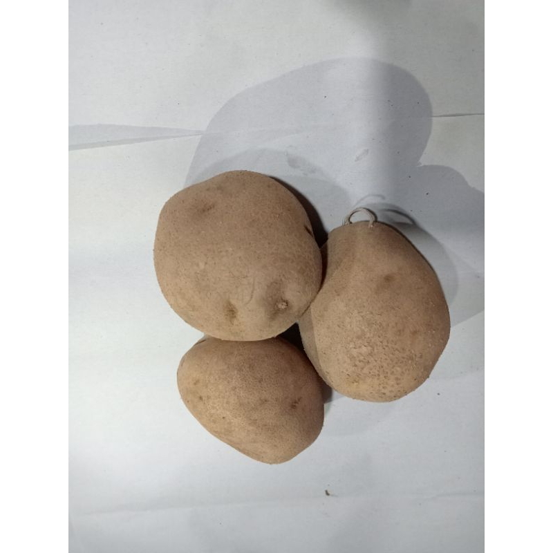 

kentang/500g(pcs+Peking)