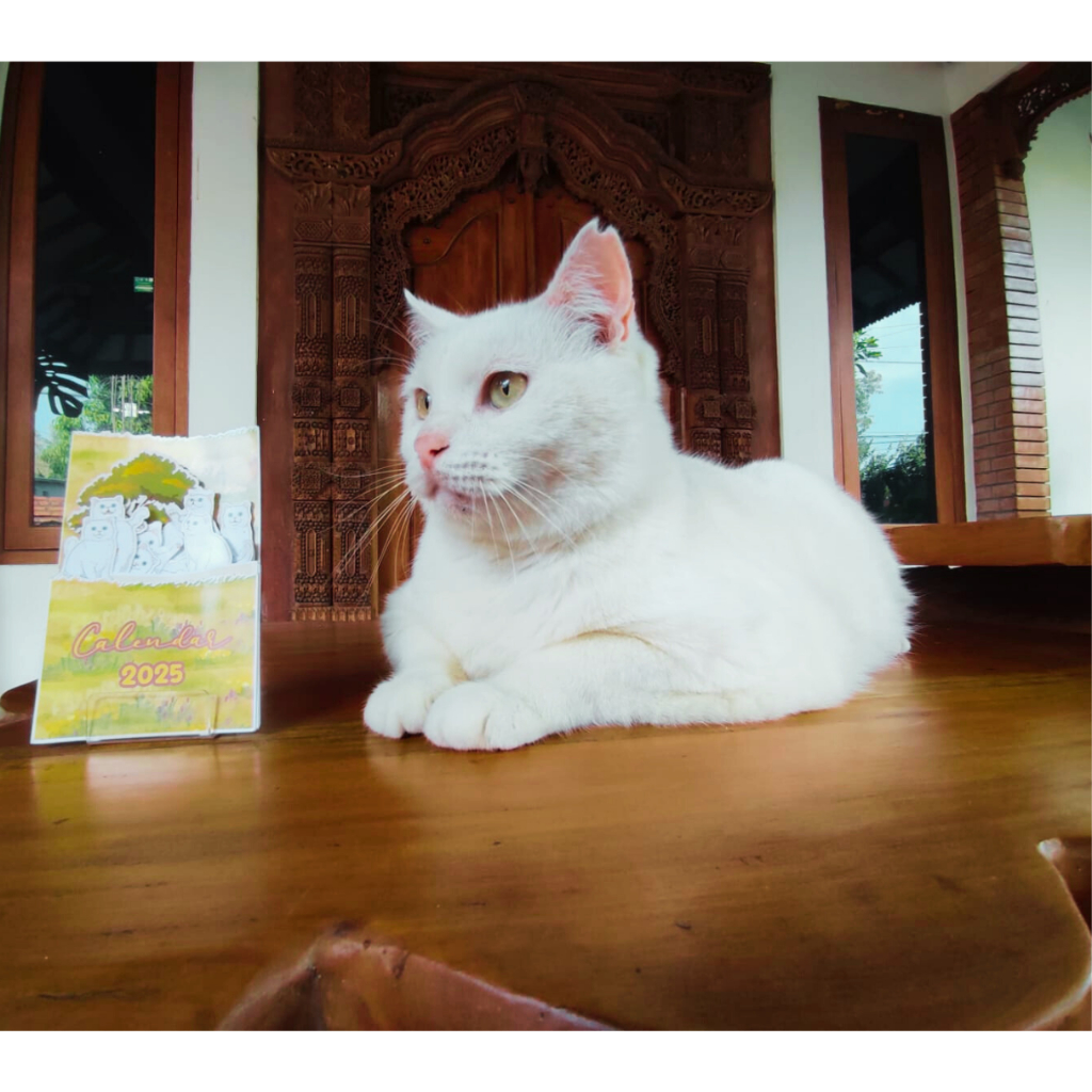 

2025 Kalender Meja Custom Foto