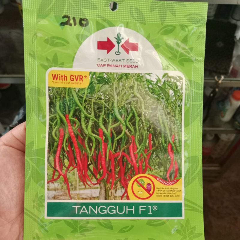 

cabai tangguh f1