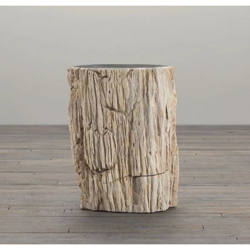 kursi batu fosil kayu