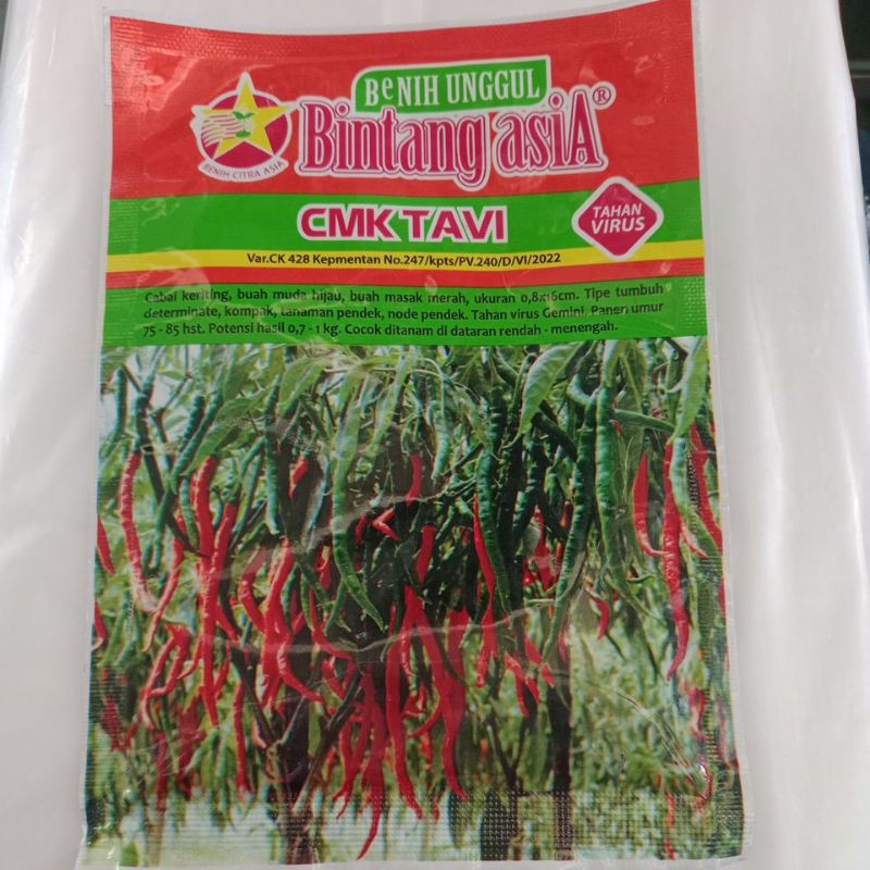 cmk tavi dari bintang asia