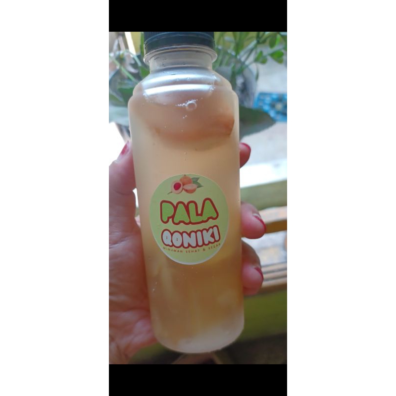 

Pala Qoniki