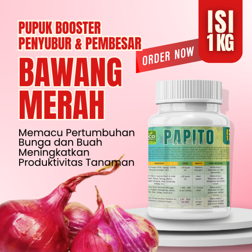 Pupuk Pembesar Bawang Merah Nutrisi Organik Penyubur Pelebat Tanaman Daun Umbi Akar Bawang Merah Put