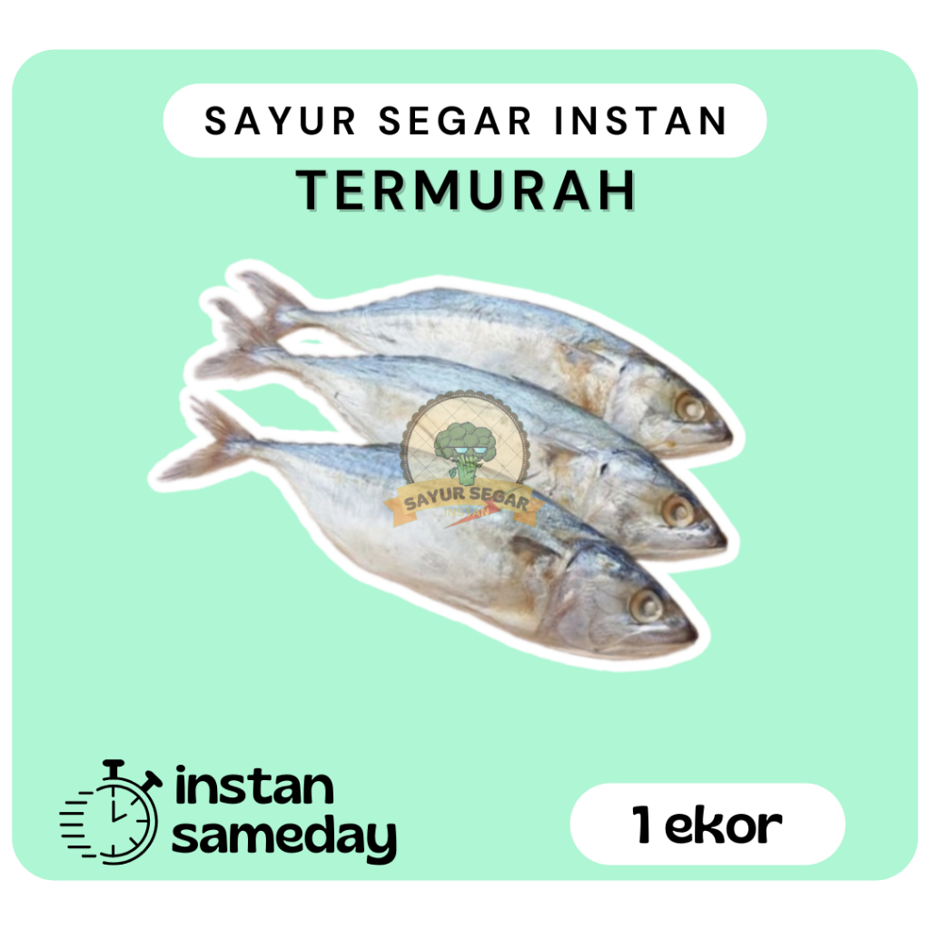 

Ikan Asin Peda Putih 1ekor -Sayur Segar Instan