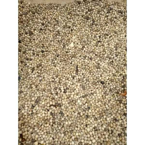 

LADA PUTIH KERING/MERICA/SAHANG 500GR,1KG