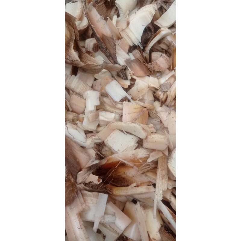 CACAH BATANG PISANG GEDEBOG PISANG