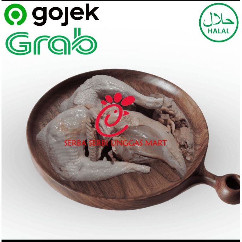 

Ayam Jago Jumbo Ukuran 2,5 - 3 kg