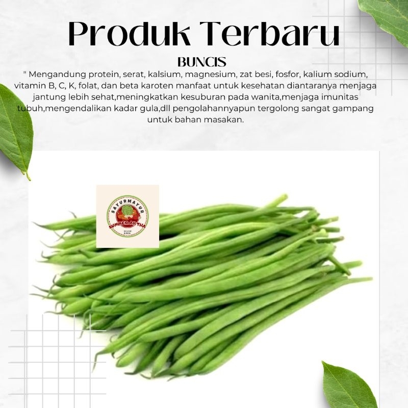 

Sayur Fresh 250Gr Buncis segar murah bagus fast delivery