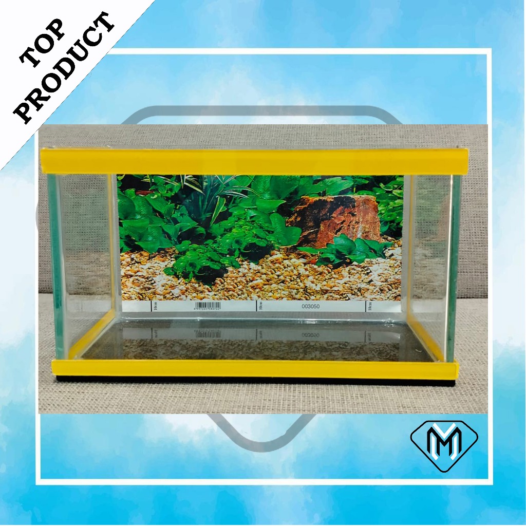 aquarium minimalis full set kaca variasi warna warni p 30 cm