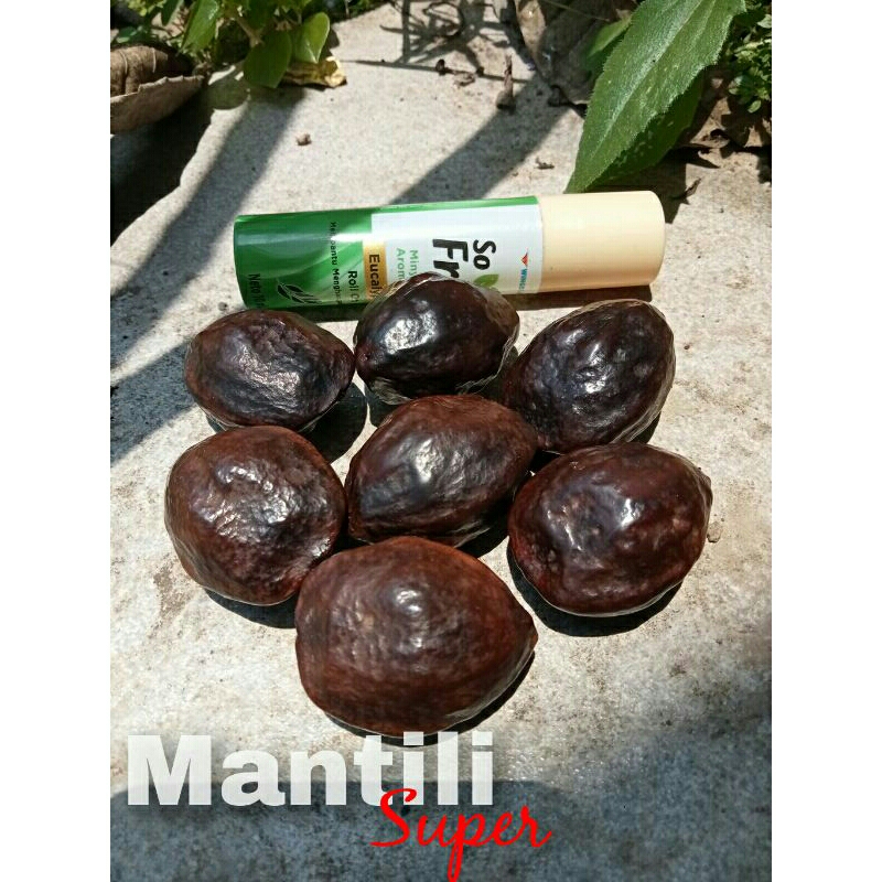 Muncang Jawa Mantili Super (sudah dicuka)