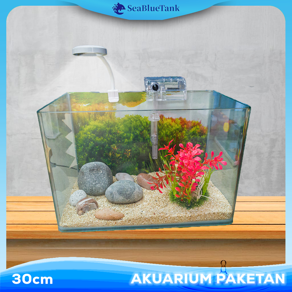 Sbt Aquarium Paket 30 Cm / Aquarium Melengkung / Aquascape / Aquarium Bending