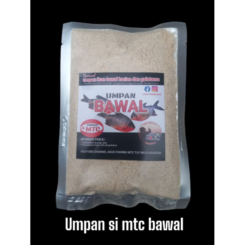 umpan bawal, umpan bawal harian, umpan bawal galatama, umpan bawal si mtc, pelet bawal, mancing bawa