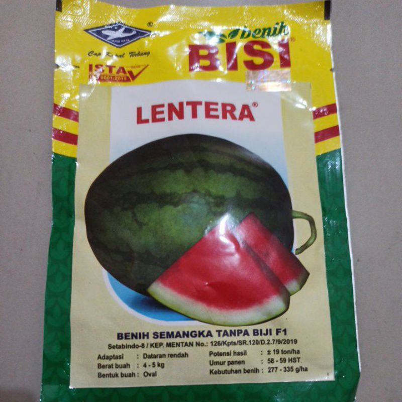 REPACK 5 BUTIR BIJI/BENIH SEMANGKA NON BIJI LENTERA KEMASAN REPACK