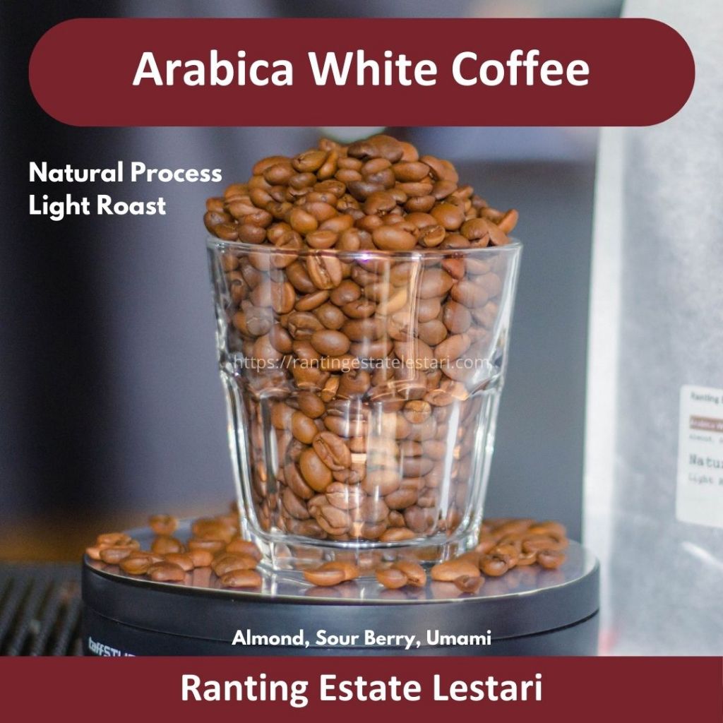 

Arabica White Coffee (Natural, Light Roast)