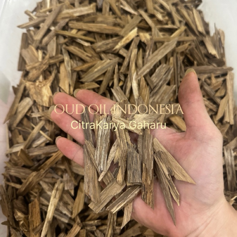 Kayu Gaharu Asli Alami Aroma Tri Papua Nungini