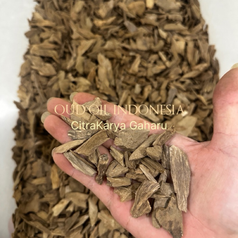 Kayu Gaharu Asli Alami Aroma Merauke Boven