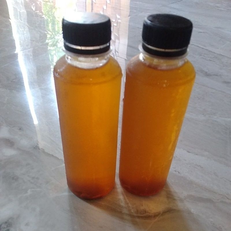 

starter 250ml untuk memulai fermentasi teh kombucha