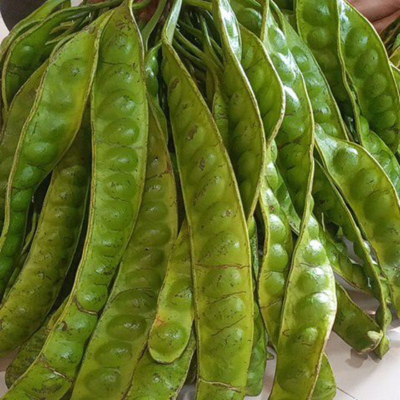 

pete jateng1 ikat 10 papan 25.000ukuran sedang