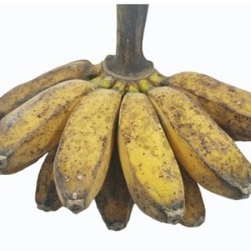 

PISANG KEPOK ORGANIK BSP FARM 500GR