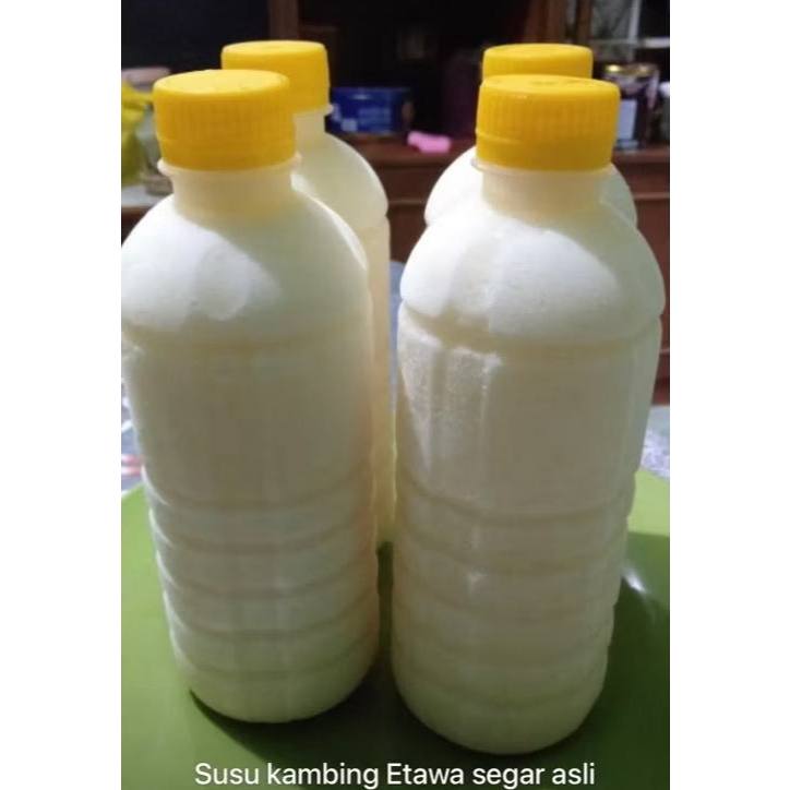 

SUSU KAMBING ETAWA ASLI MURNI FRESH 500ml/SUSU KAMBING FROZEN