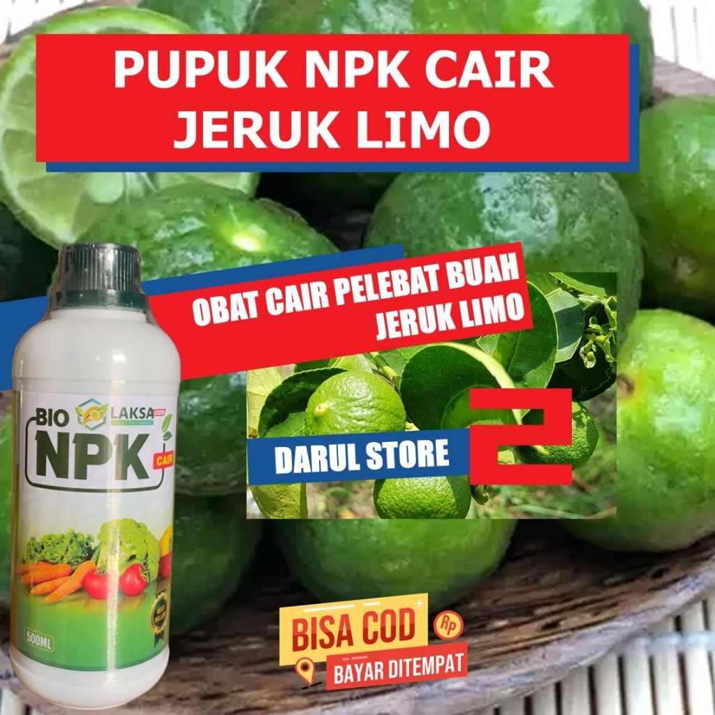 OBAT PERANGSANG TANAMAN JERUK LIMO TERBAIK NPK LAKSA Mempercepat Tumbuh Bunga dan Buah Jeruk Serempa