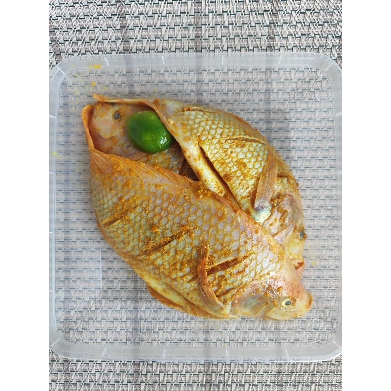 

Ikan Nila Merah Bumbu Kuning