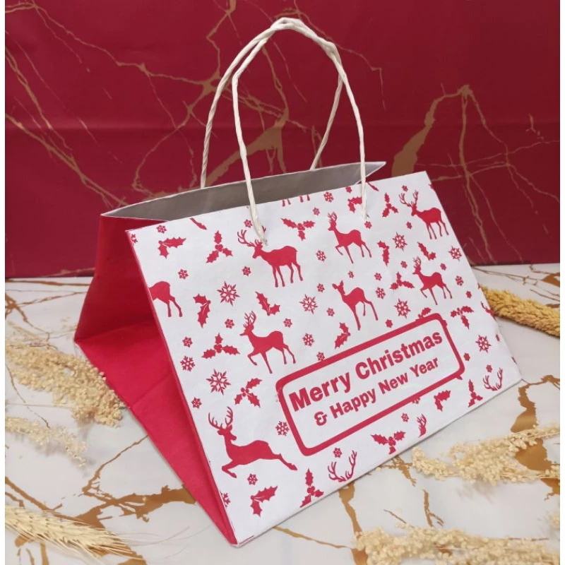 

10 Pcs Paper Bag Natal Packaging Snack Motif Christmas Ukuran 22 x 22 x 17cm