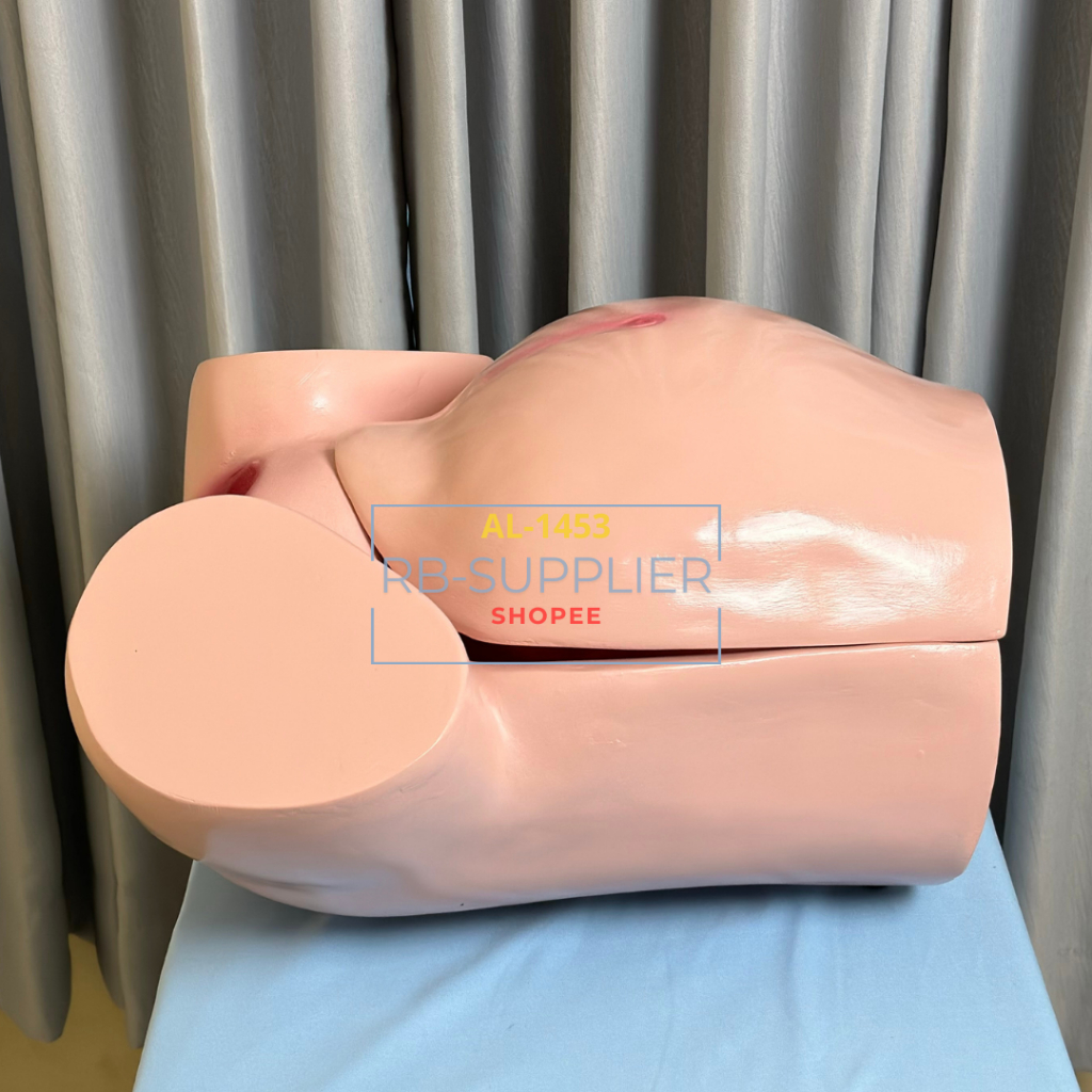 Partus-Phantom Manikin/Manekin Persalinan-Alat Peraga Pendidikan Panggul Bumil Bayi dan Plasenta