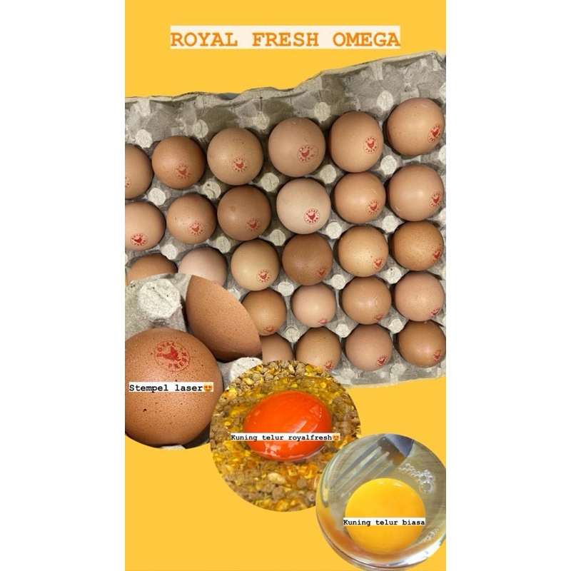 

Telur Omega Royal Fresh (Puding Size)