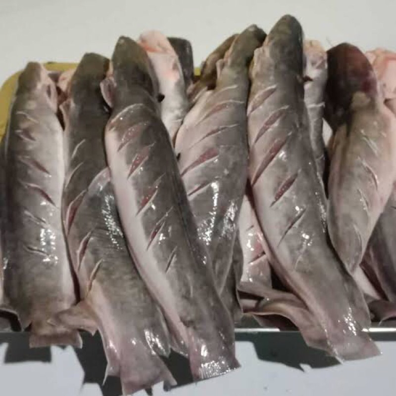 

Ikan Lele Fresh / Langsung Dari Kolam / Sudah Bersih / Berat 900gram / Isi 7-9 Ekor