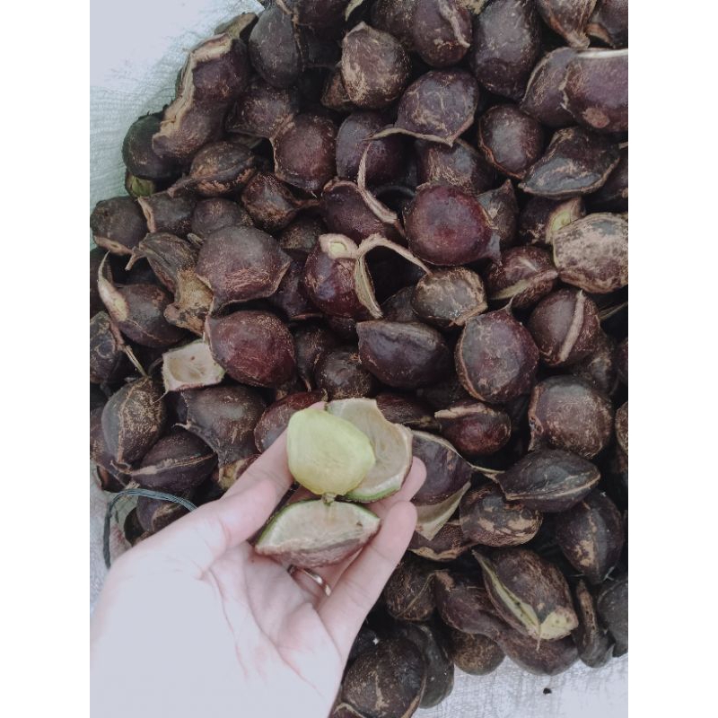 

jengki mentah siap masak