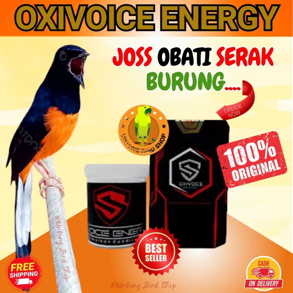 Obat Serak Burung Murai Batu Cucak Ijo Kacer Kenari. Obat Burung Berlendir. Obat Burung Kicau