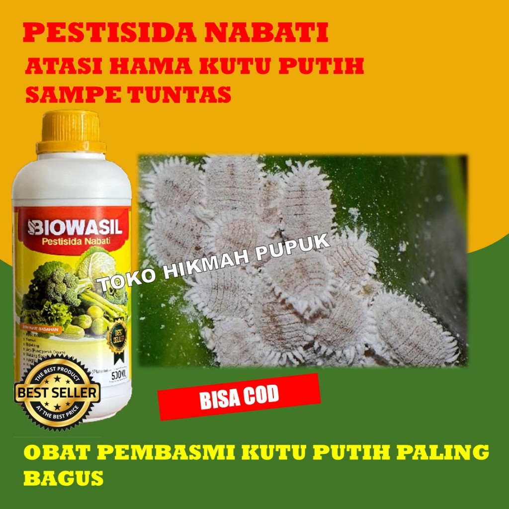 (COD AMAN) BIOWASIL Obat KUTU PUTIH Paling Ampuh - Obat Pembasmi KUTU PUTIH – Insektisida Organik Pe