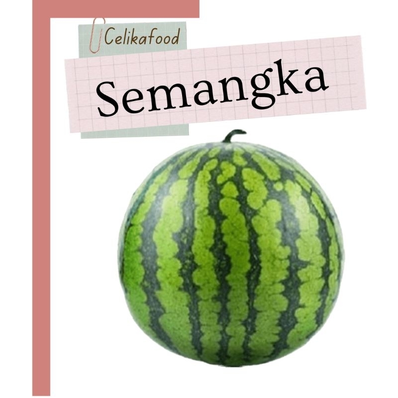 

Semangka Merah 1 Pcs Buah Watermelon Fresh