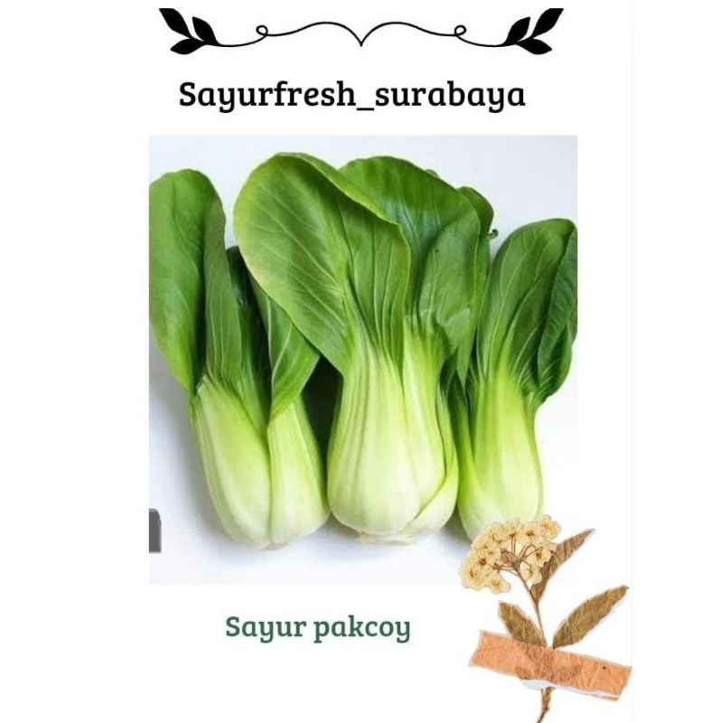 

Sawi daging / pakcoy