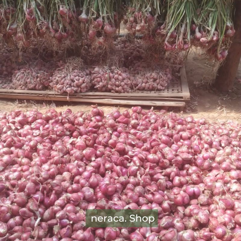 

Bawang merah besar kering 1kg (sudah sortir)